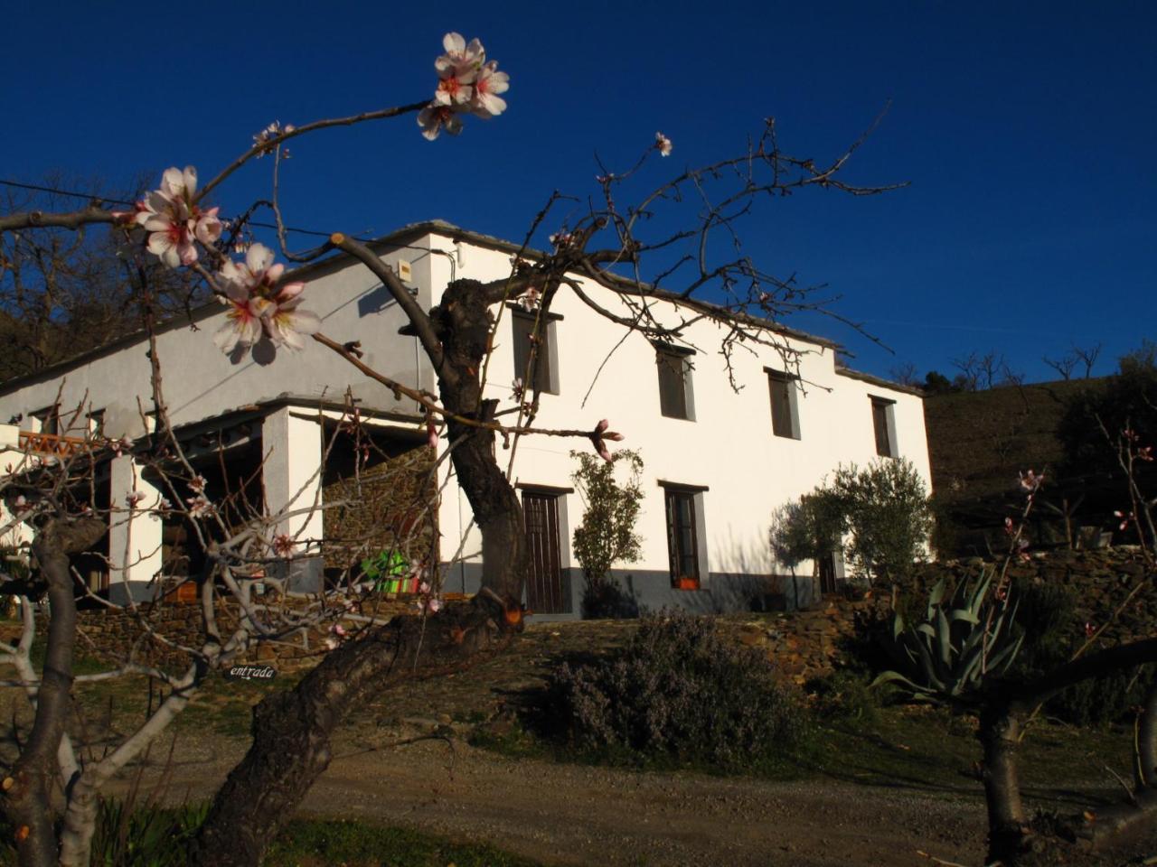 Casa Rural El Paraje De Berchules ภายนอก รูปภาพ